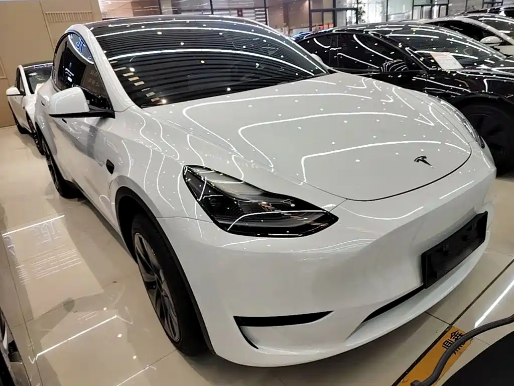 Tesla Model Y — миниатюра 4