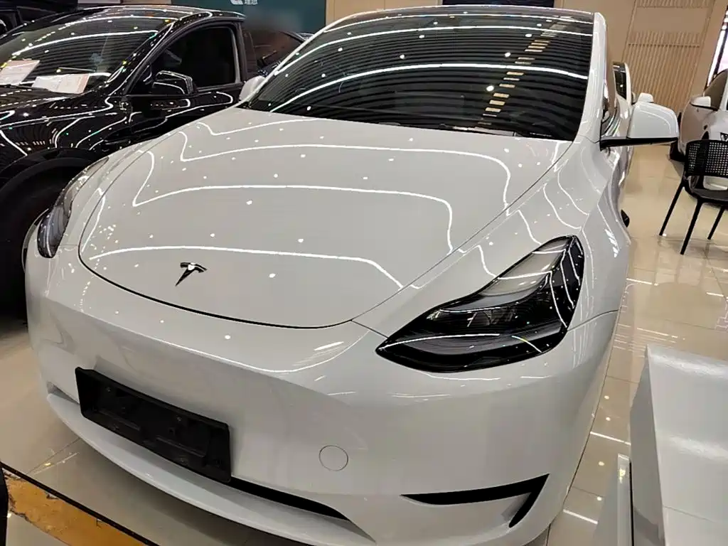 Tesla Model Y — миниатюра 2
