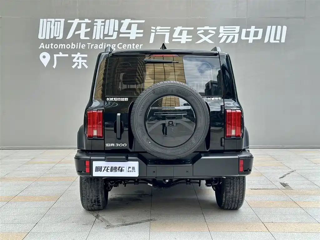Tank 300 2024 2.0T