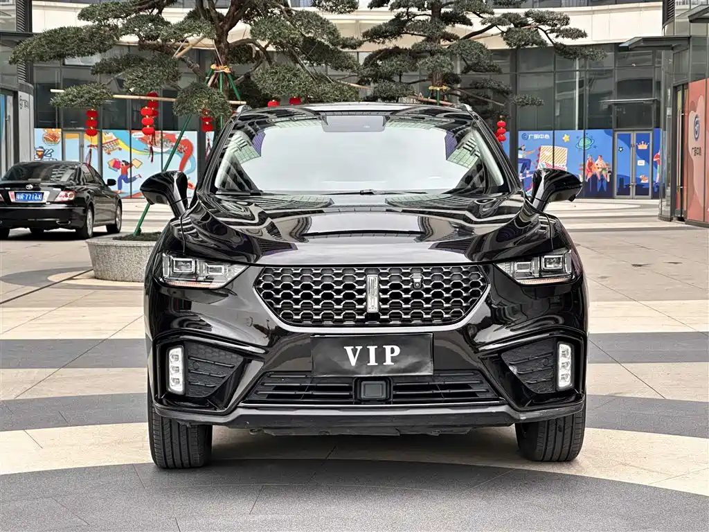 WEI PAI WEI BRAND VV5