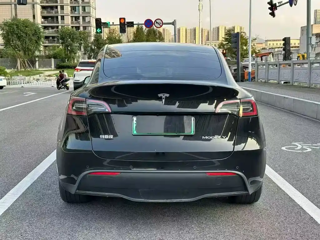 Tesla Model Y — миниатюра 8