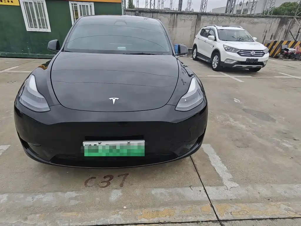 Tesla Model Y — миниатюра 2