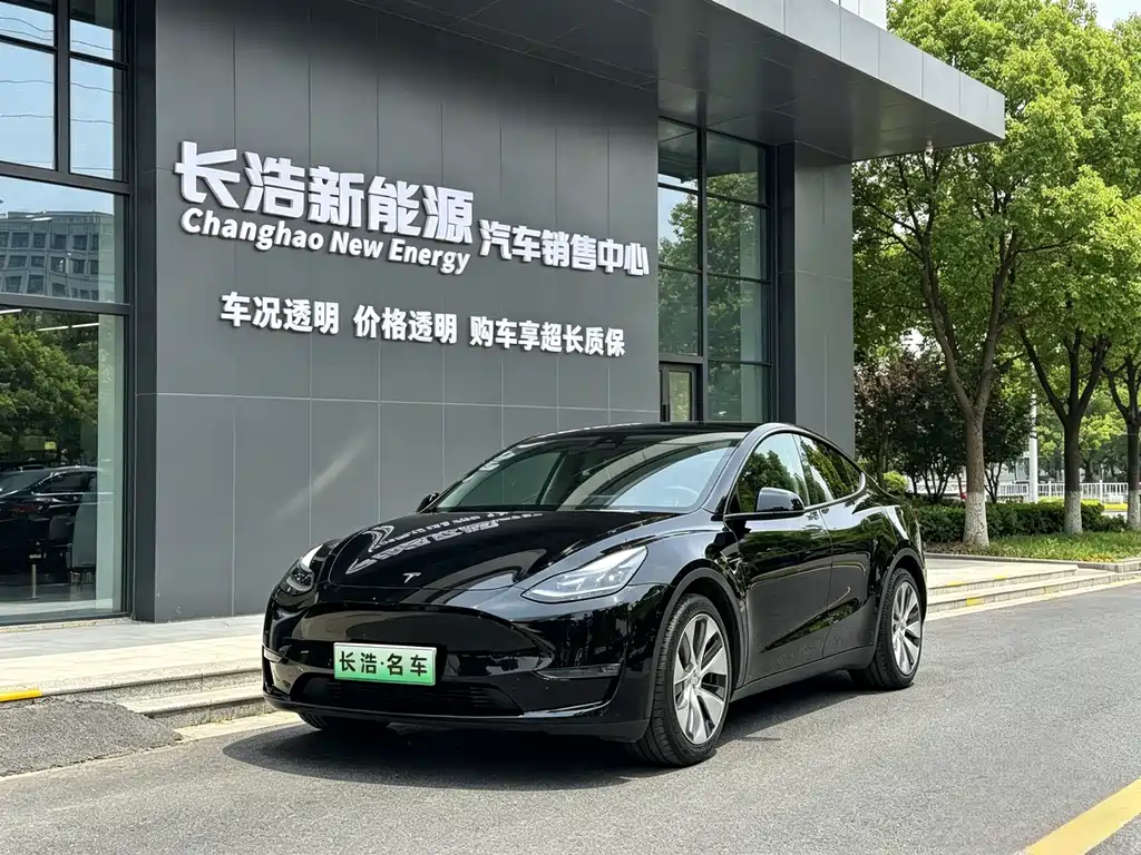 Tesla Model Y 2021