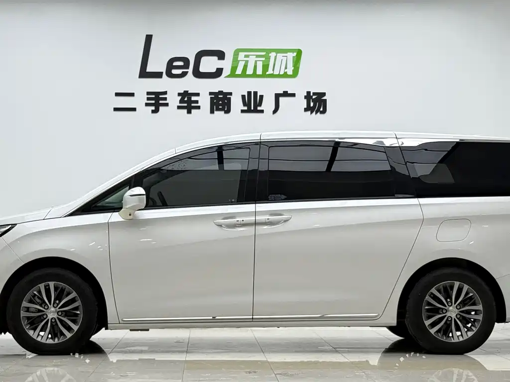 Buick GL8 — миниатюра 16