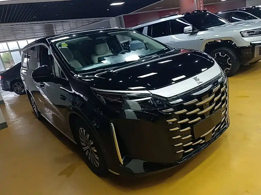 BYD Xia — миниатюра 4