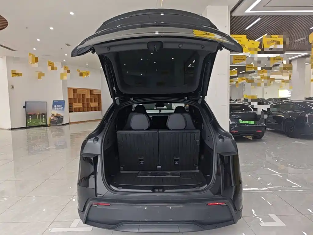 Tesla Model Y L — миниатюра 19