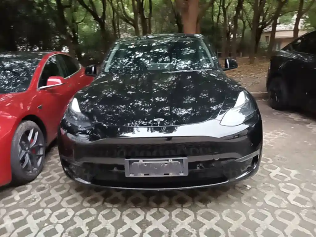 Tesla Model Y — миниатюра 3