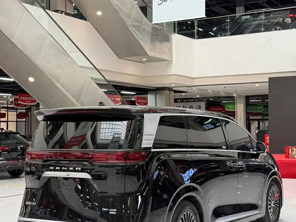 Denza Denza D9 — миниатюра 14