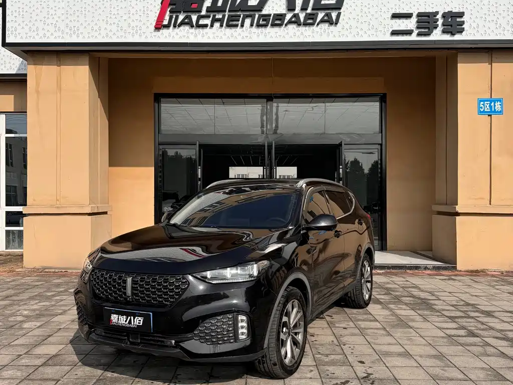 WEI PAI WEI BRAND VV6