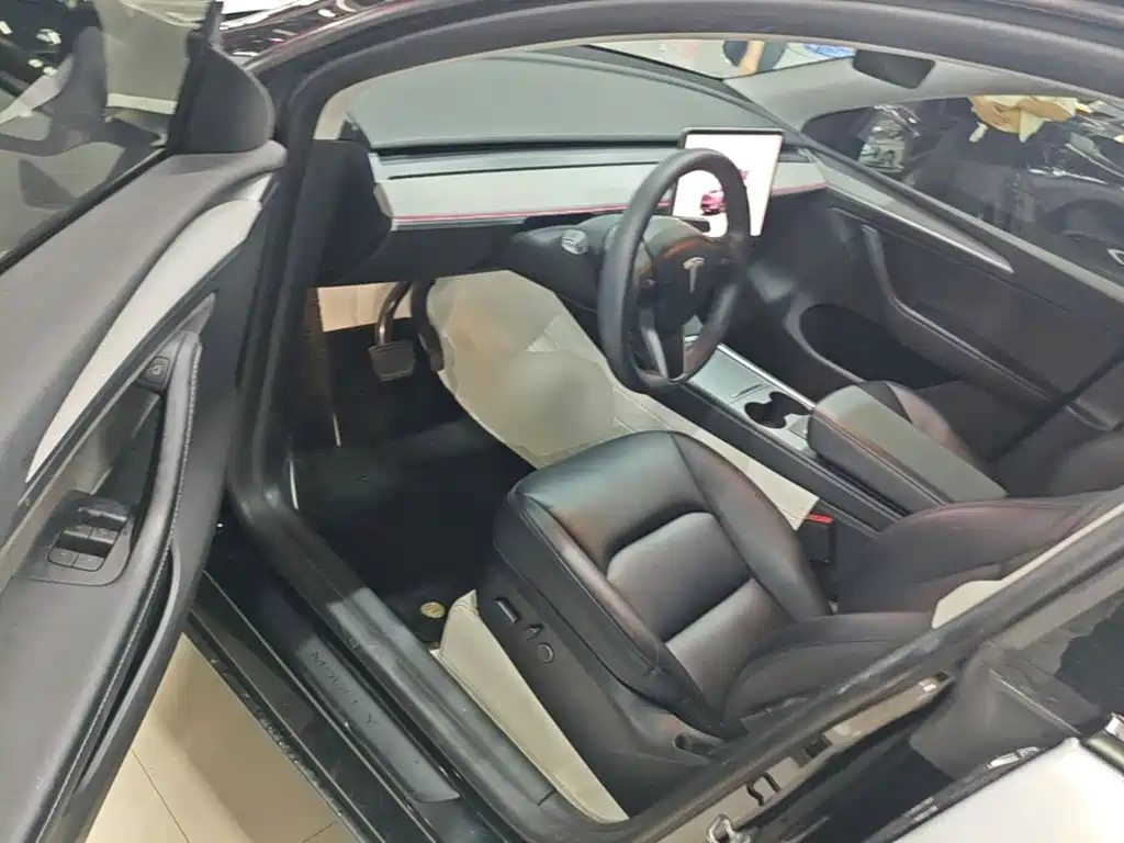 Tesla Model Y — миниатюра 16