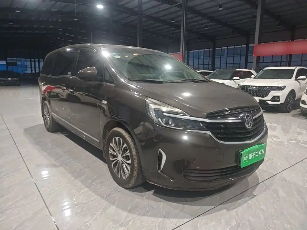 Buick GL8 — миниатюра 4