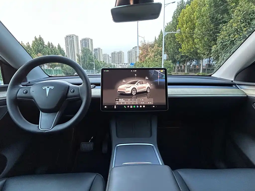 Tesla Model Y — миниатюра 7