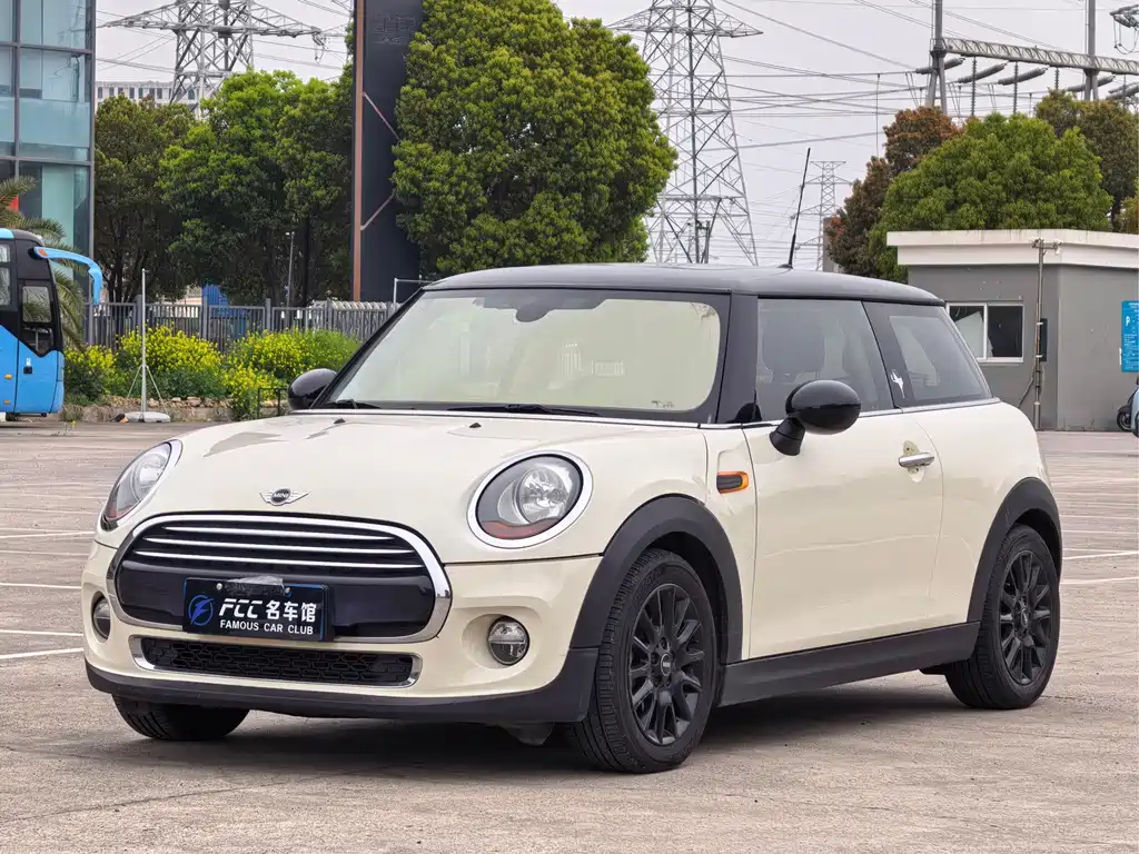 Mini Mini 2015