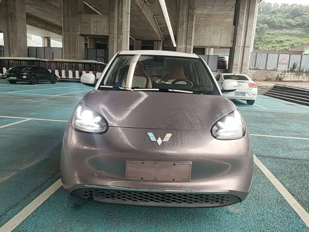 Wuling Binguo 2023 333km Enjoy +