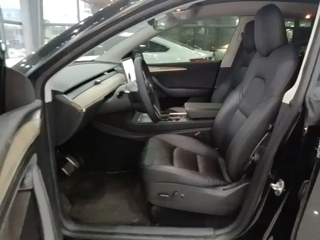 Tesla Model Y — миниатюра 15