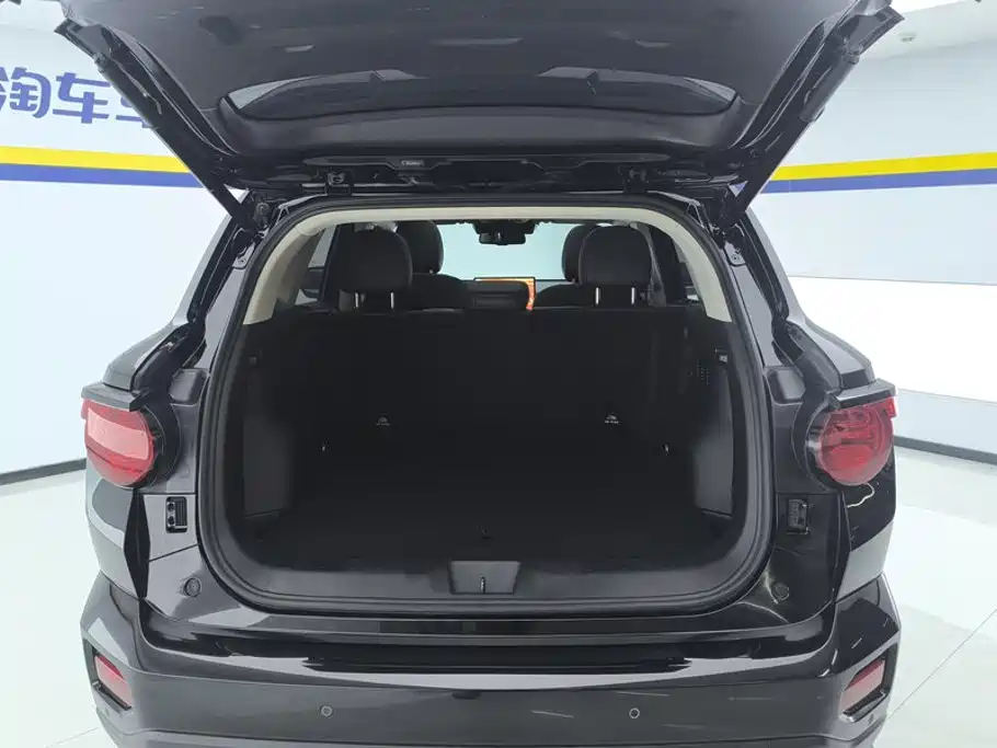 Haval Big Dog PLUS — миниатюра 4