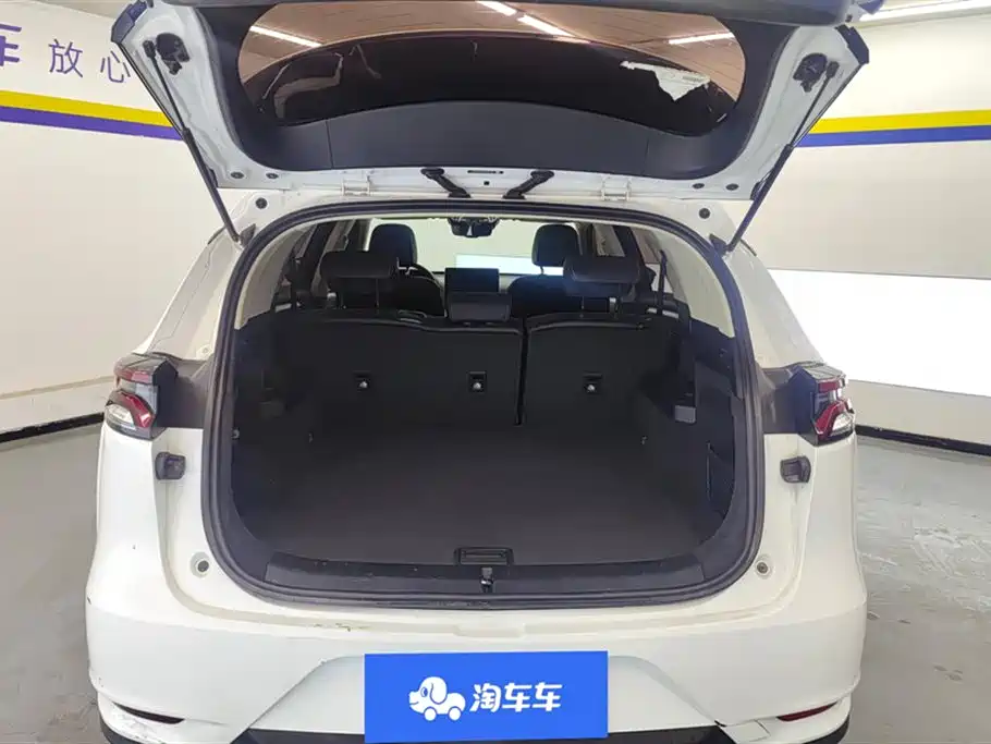 BYD Tang 2018 2.0T AT Luxury 5 мест V