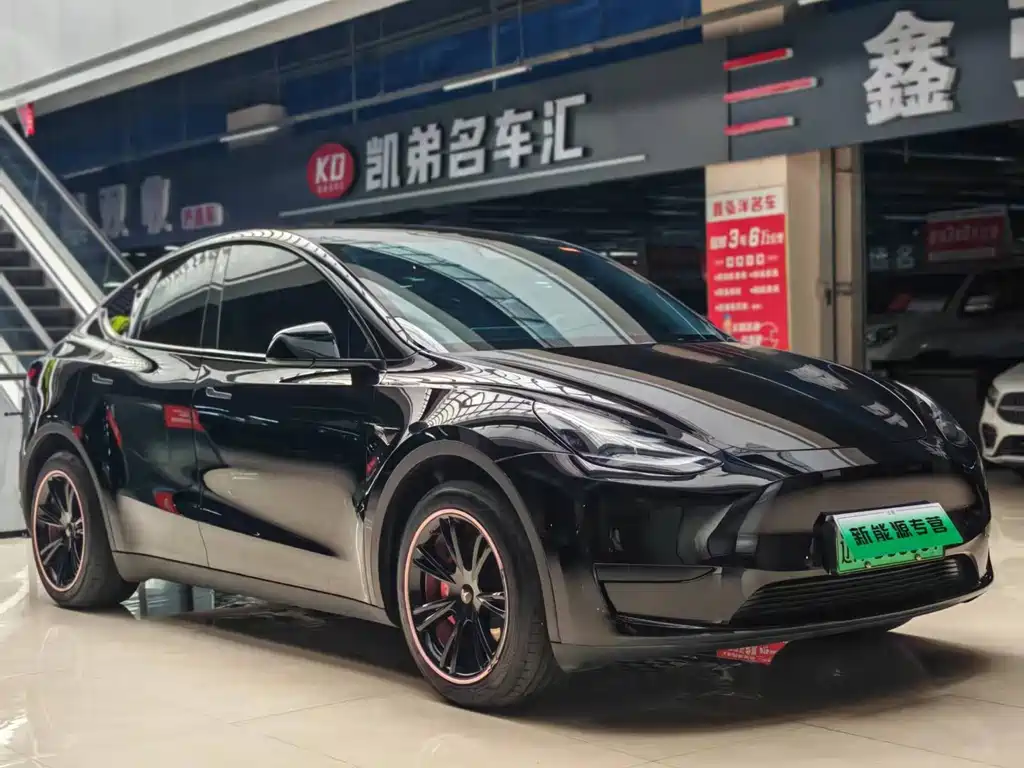 Tesla Model Y — миниатюра 2