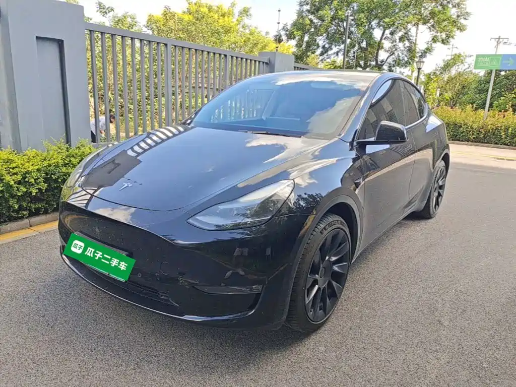 Tesla Model Y — миниатюра 2