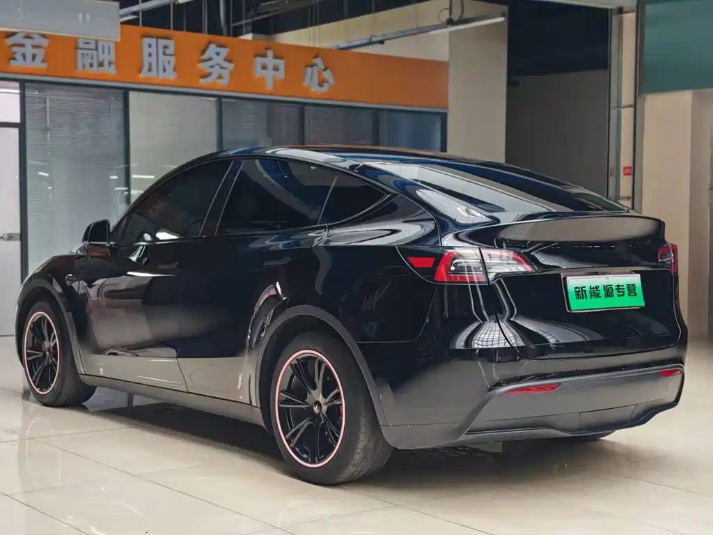 Tesla Model Y — миниатюра 5