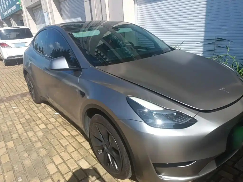 Tesla Model Y — миниатюра 4