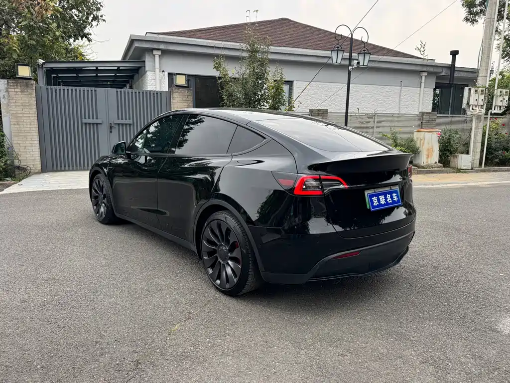 Tesla Model Y — миниатюра 13