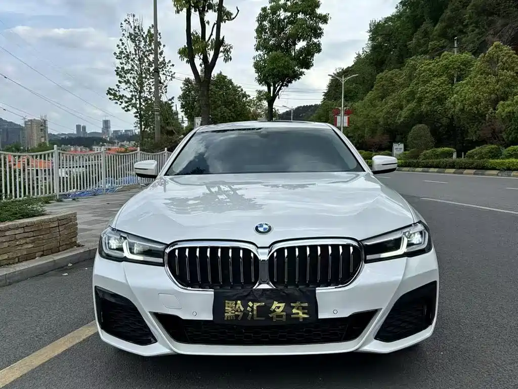 BMW 5 Series — миниатюра 2