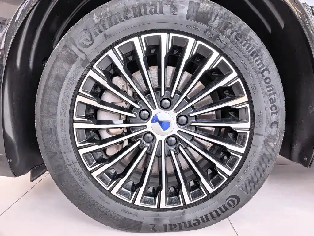 Denza Denza D9 — миниатюра 11