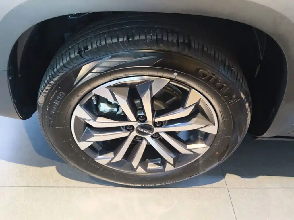 Haval Big Dog — миниатюра 23
