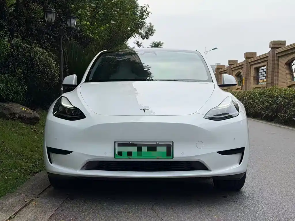 Tesla Model Y — миниатюра 2