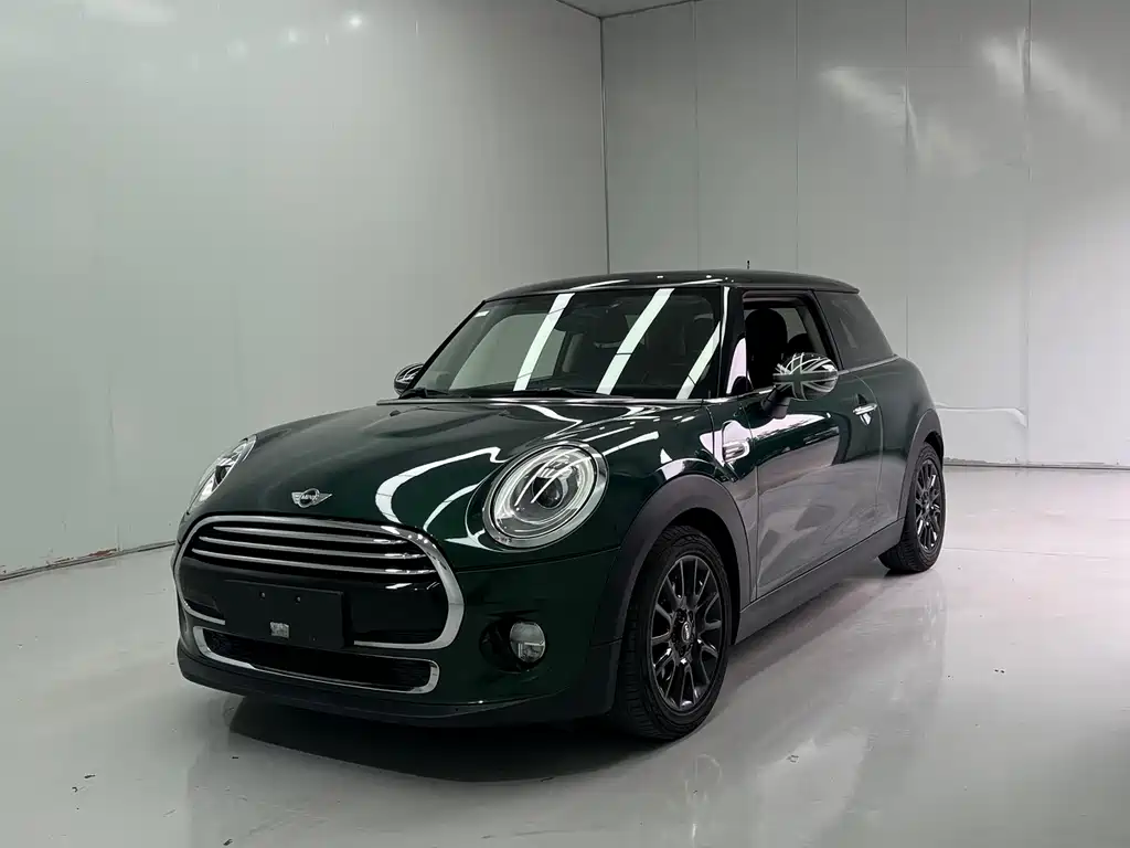 Mini Mini 2018