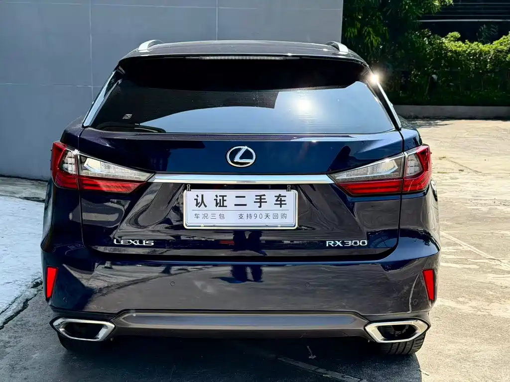 Lexus RX — миниатюра 5