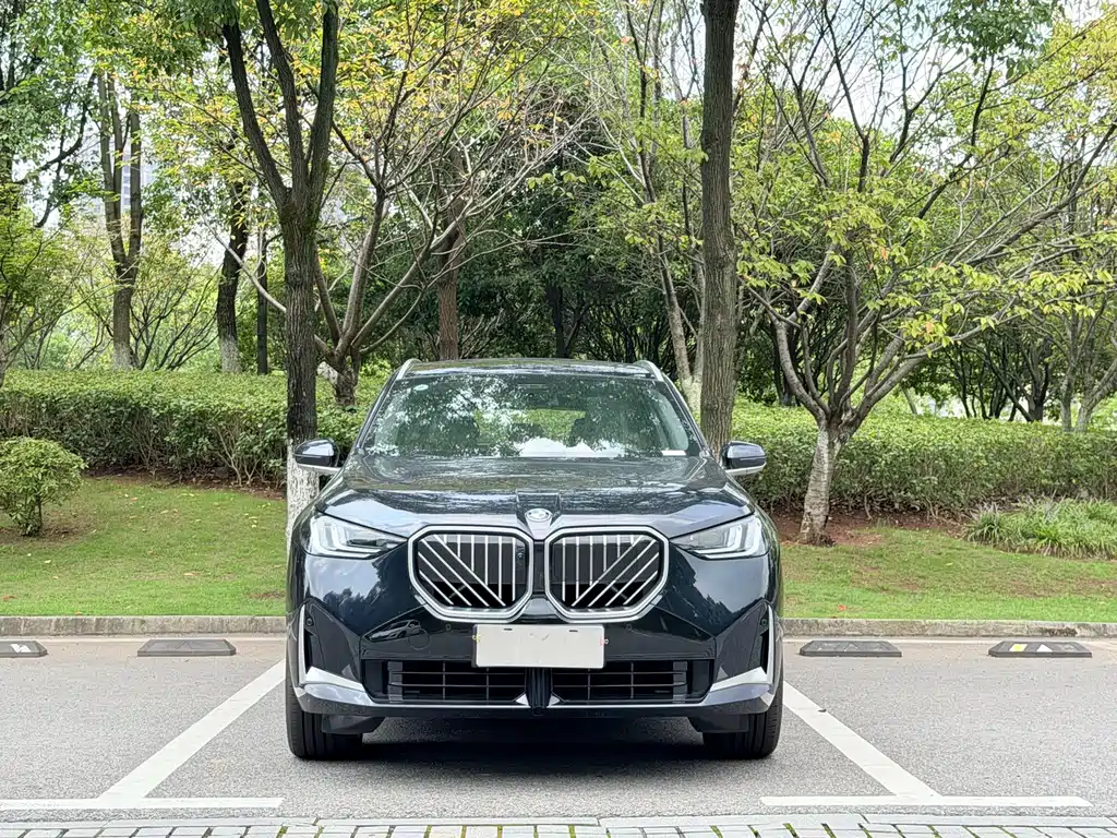 BMW X3 — миниатюра 2