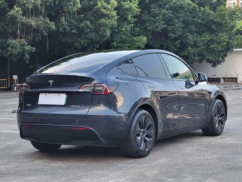 Tesla Model Y — миниатюра 10