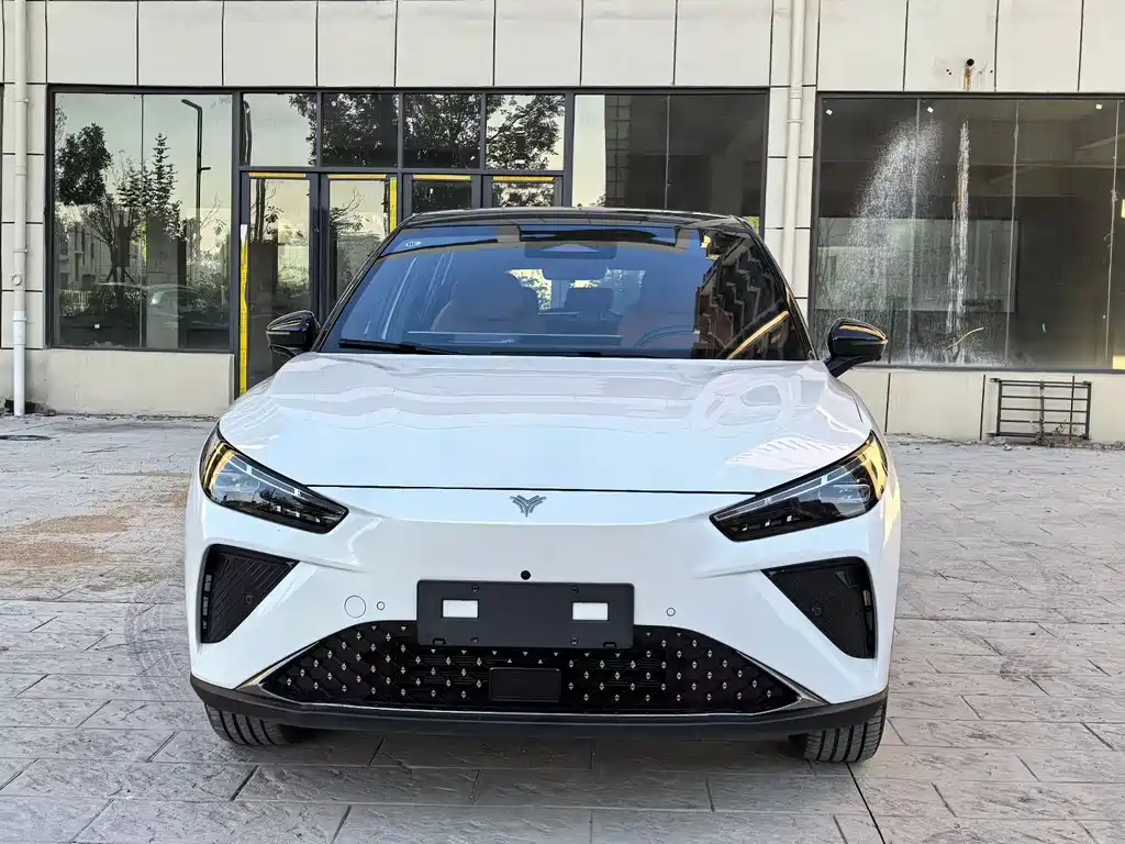 Neta Neta L — миниатюра 2