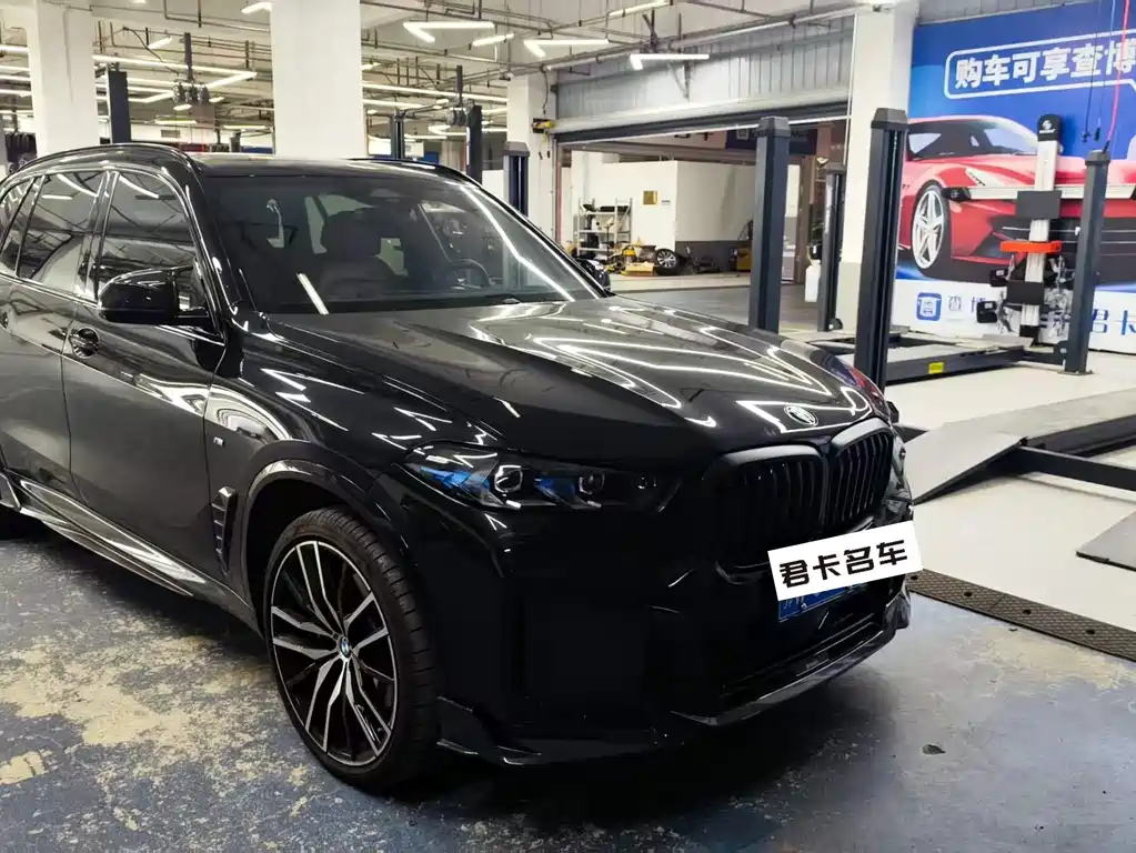 BMW X5 — миниатюра 6