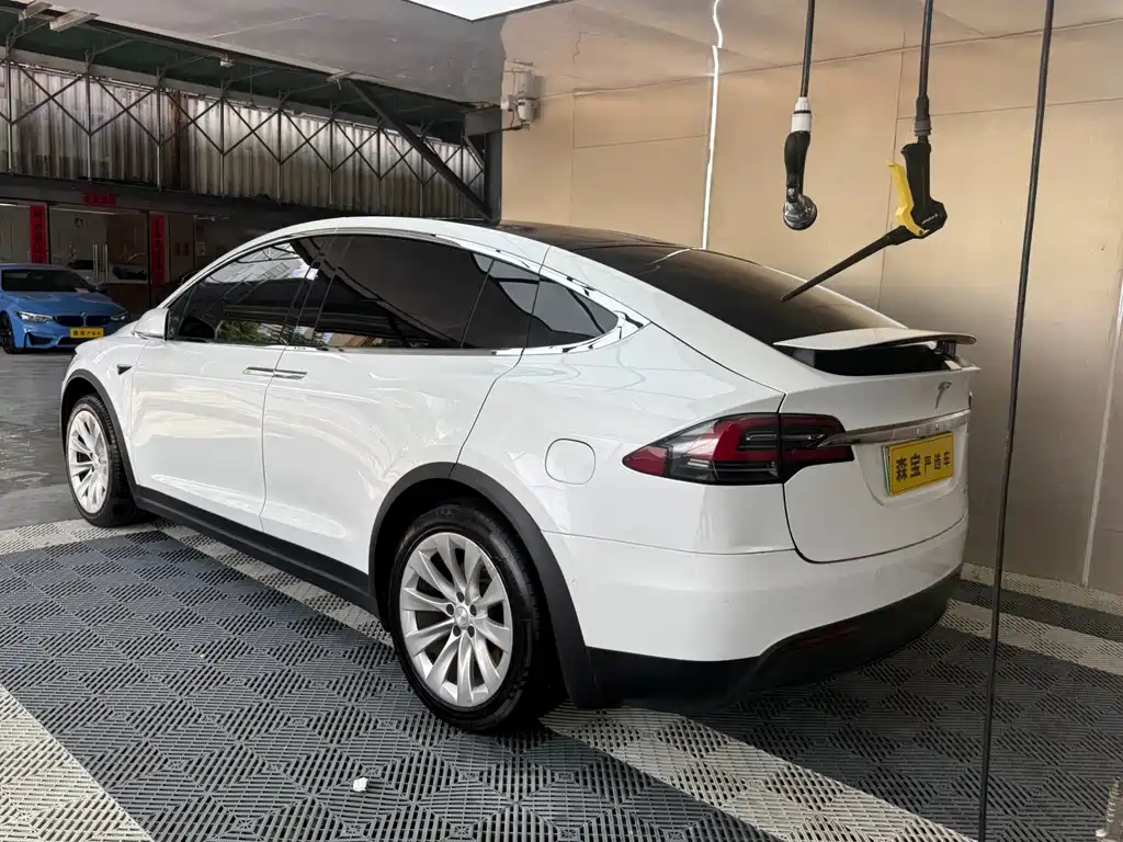 Tesla Model X 2017 Model X 100D