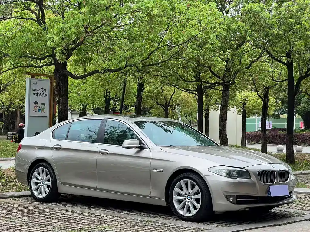 BMW 5 Series 530Li Leading Type, фото 3