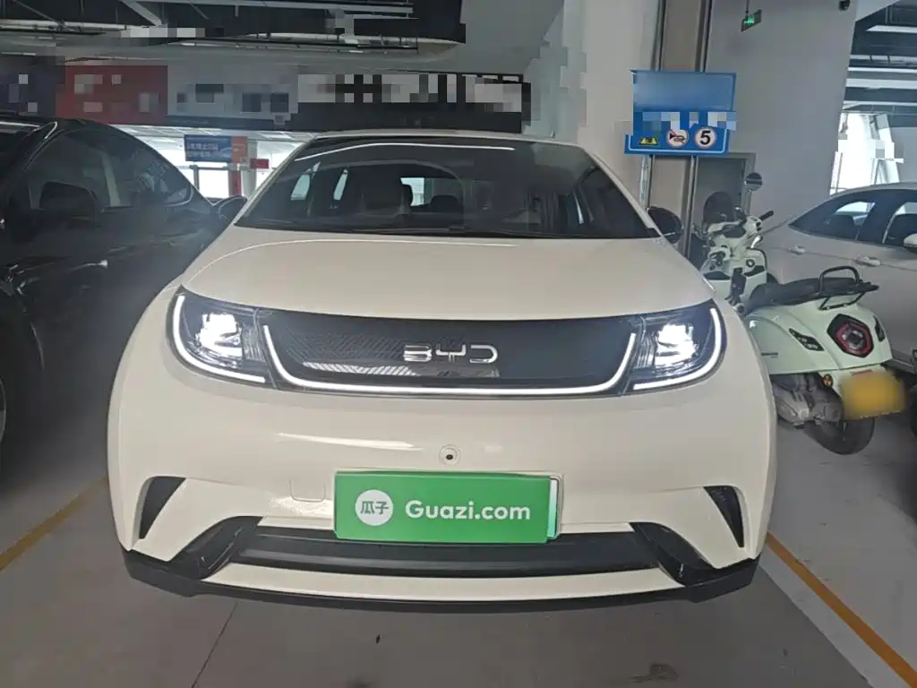 BYD Dolphin 2025 420km Freedom