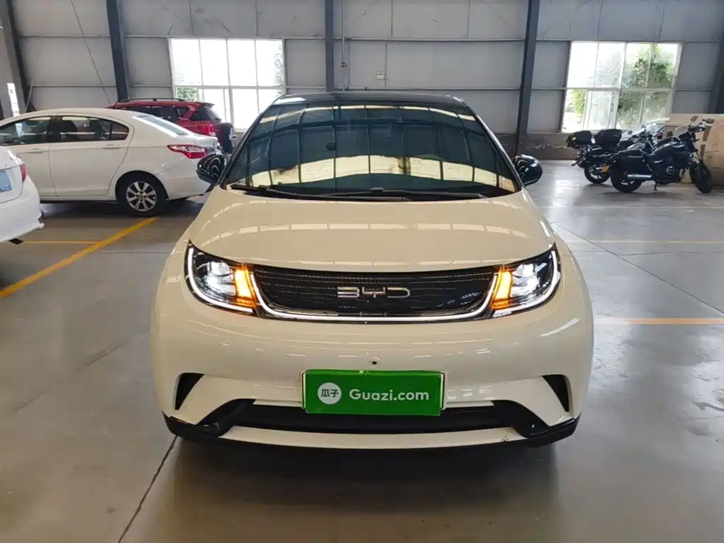 BYD Dolphin — миниатюра 3