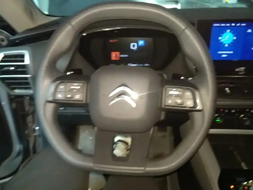 Citroen C5 X — миниатюра 11