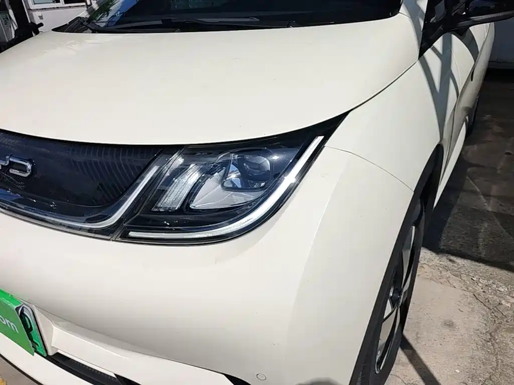 BYD Dolphin — миниатюра 18