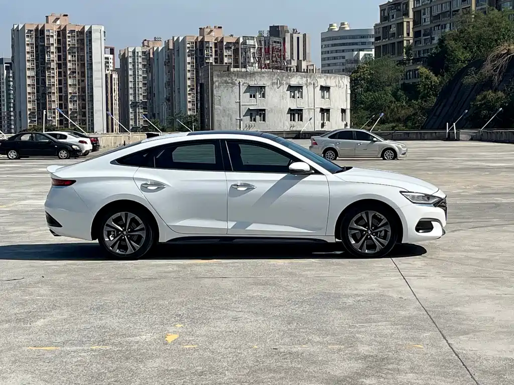 Hyundai Fista — миниатюра 10