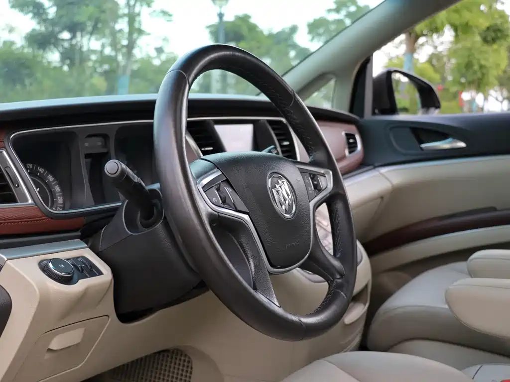 Buick GL8 — миниатюра 24