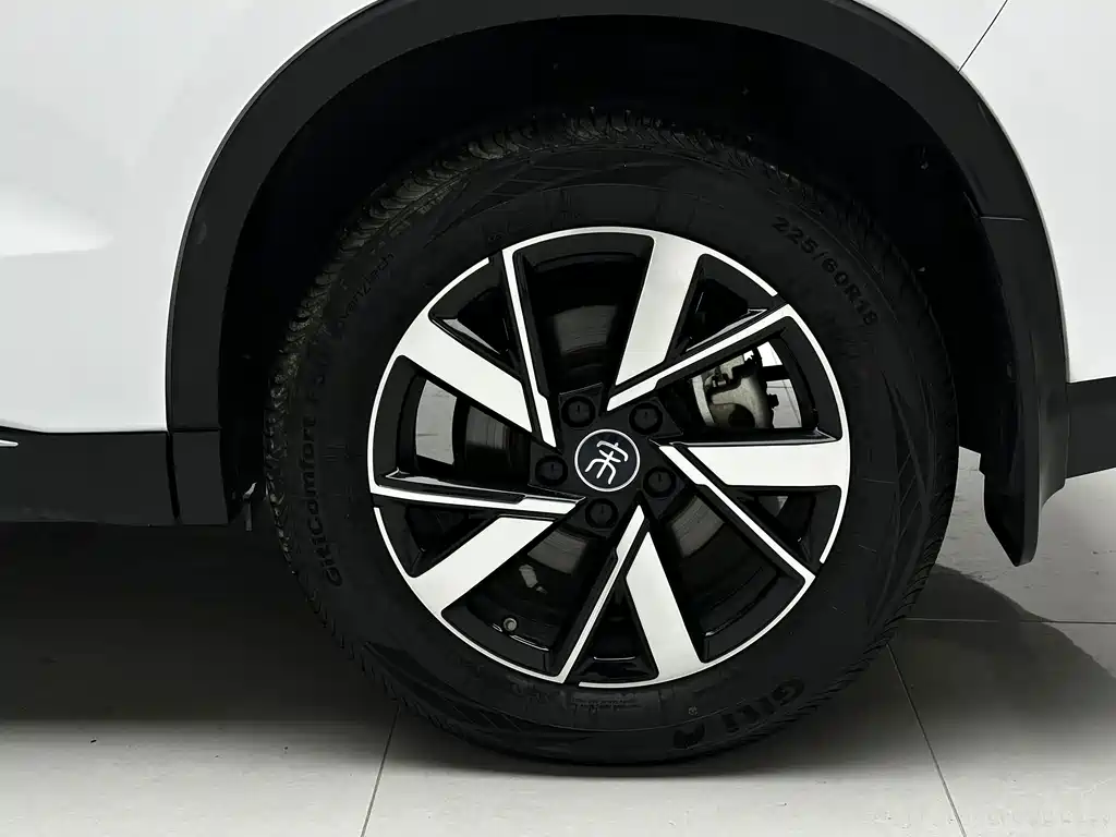 BYD Pro New Energy — миниатюра 18