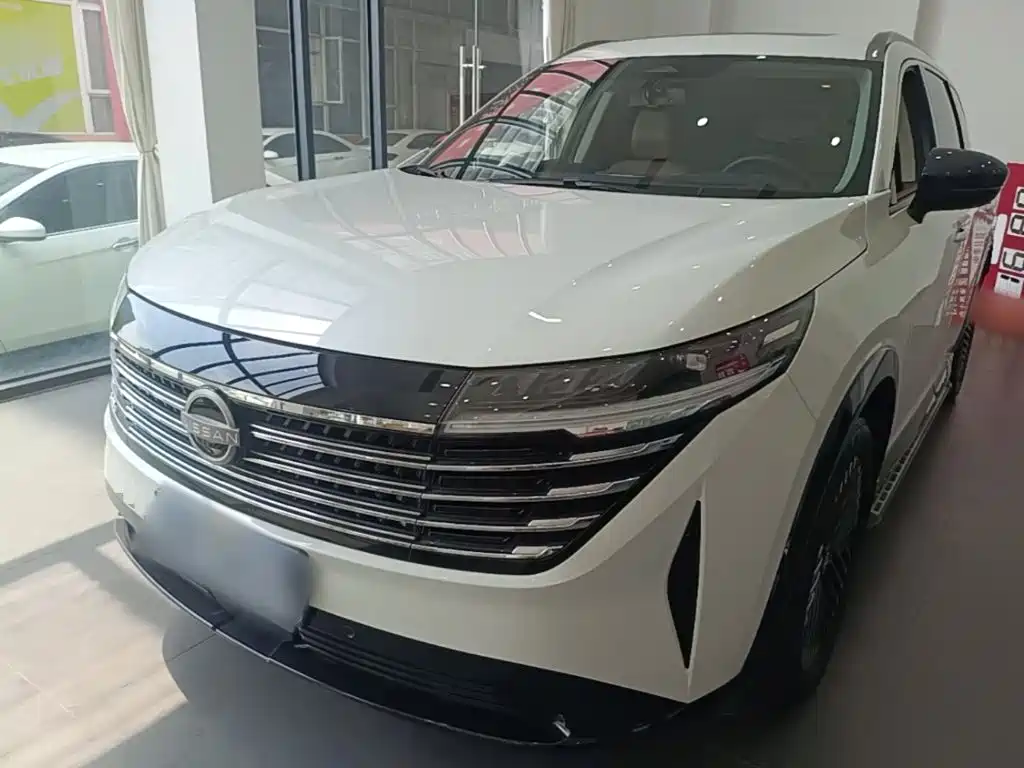 Nissan Teramont — миниатюра 2