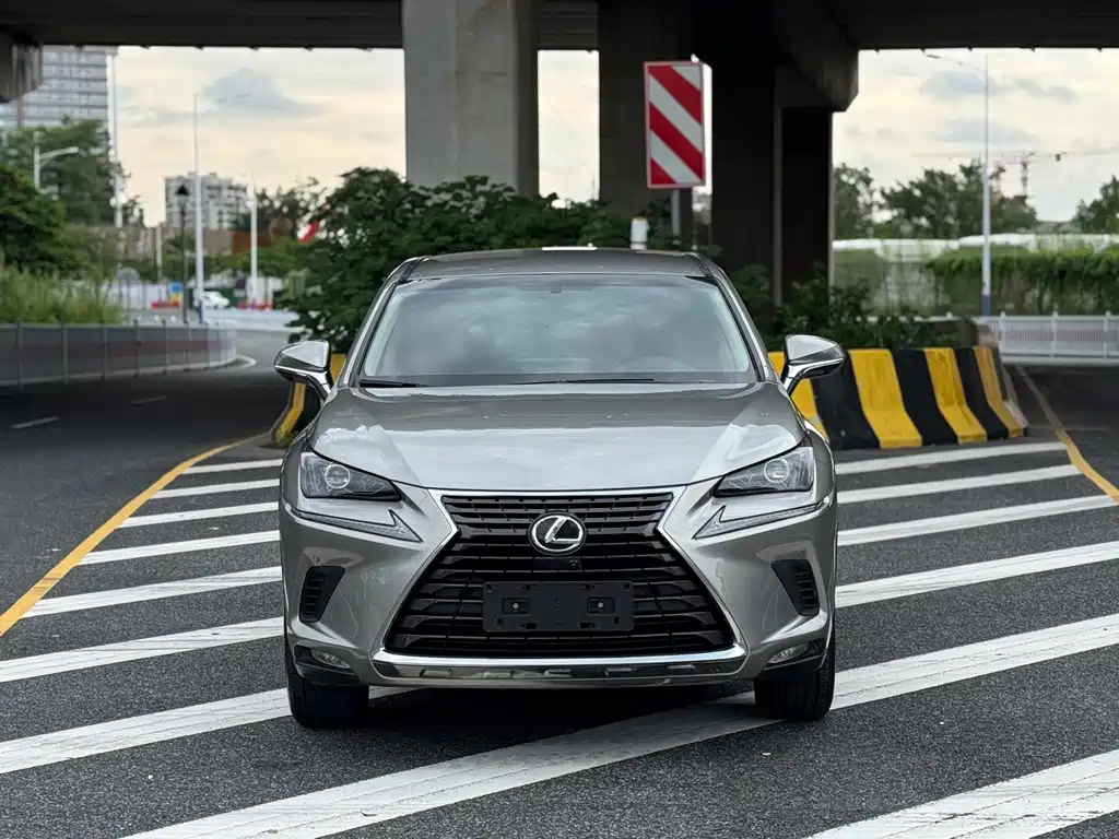 Lexus NX 2018 200 V