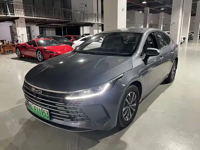 BYD DESTROYER 05 2024