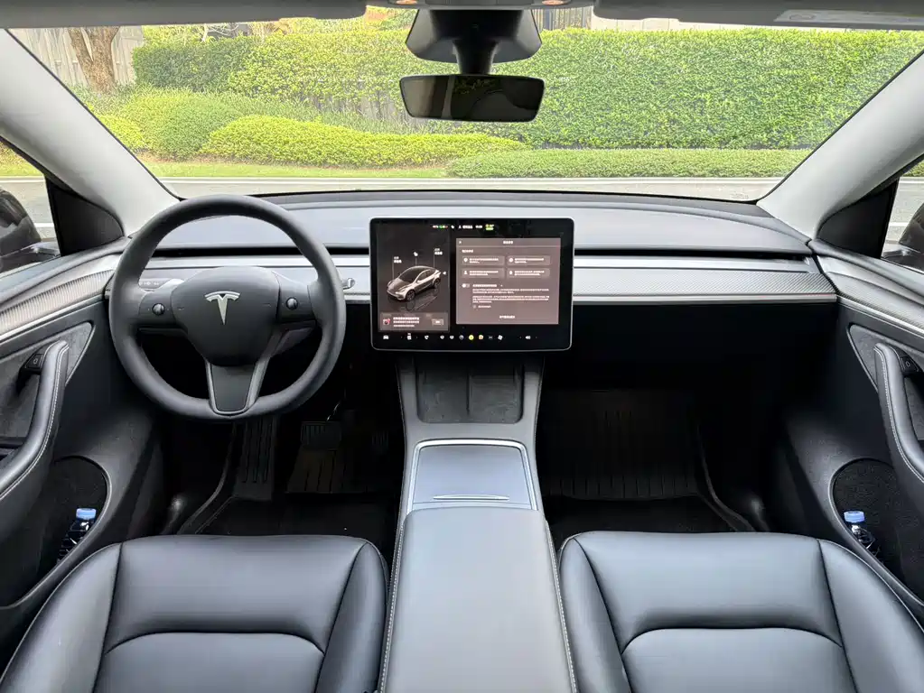 Tesla Model Y — миниатюра 6
