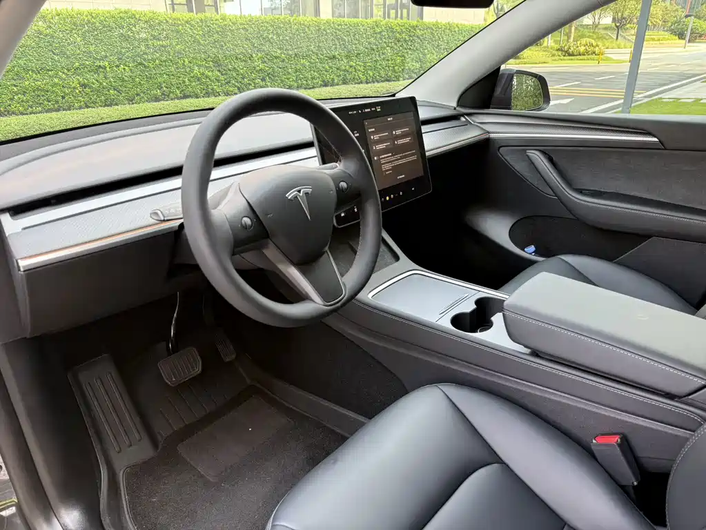 Tesla Model Y — миниатюра 12